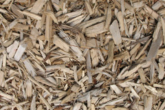 biomass boilers Langlee